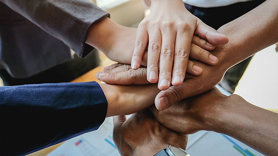 日本企業向け伴走型支援